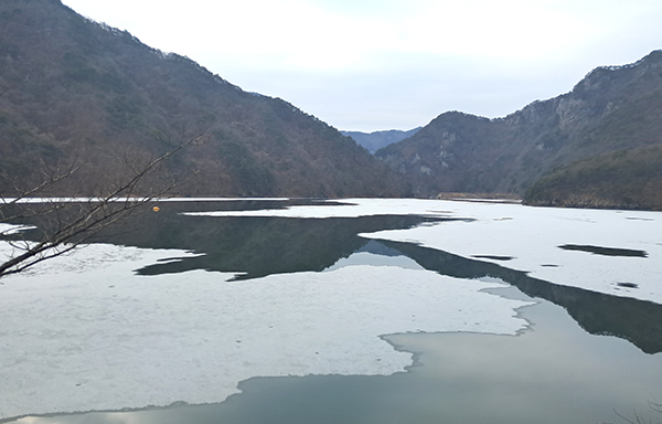 삼가저수지라 불리지만 본 이름은 비룡저수지.