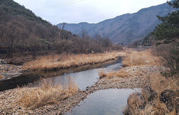 안도리로 흐르는 서원계곡.