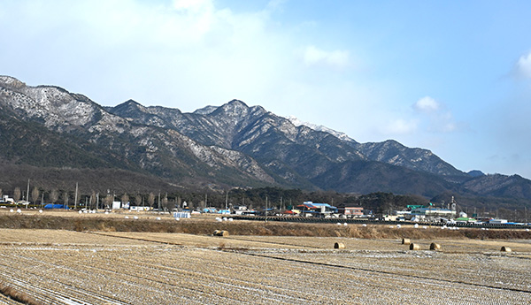 장안면에서 바라본 구병산과 장안마을.