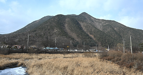 장안마을 뒷산 보습산.