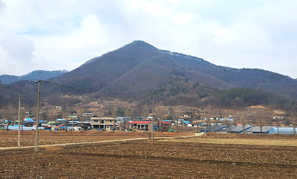 기대리 뒷산 운무봉.