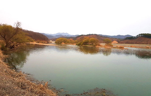 옥천군 청산면 보청천 강변.