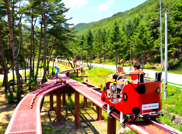 소나무 숲 위를 자전거를 타고 솔향기를 느끼며 솔향공원을 한 바퀴 돌수 있는 1.6km 코스의 스카이바이크. 속리산을 찾는 관광객에게 산림테마 관광 서비스로 색다른 즐거움을 선사해 인기가 높다. 보은군이 속리산 산림레포츠 시설 모노레일, 집라인, 스카이바이크, 스카이트레일 4종을 운영할 사업자를 공개모집 중이다. /제공 보은군