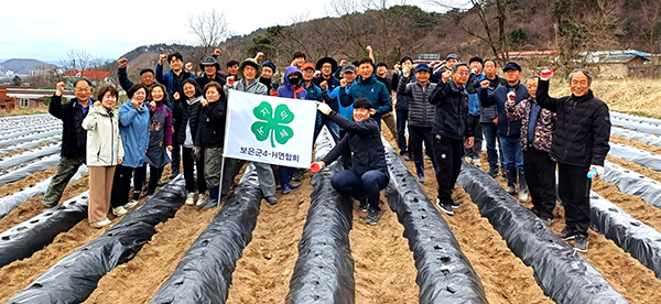 보은군4-H연합회, 감자 공동과제포 운영