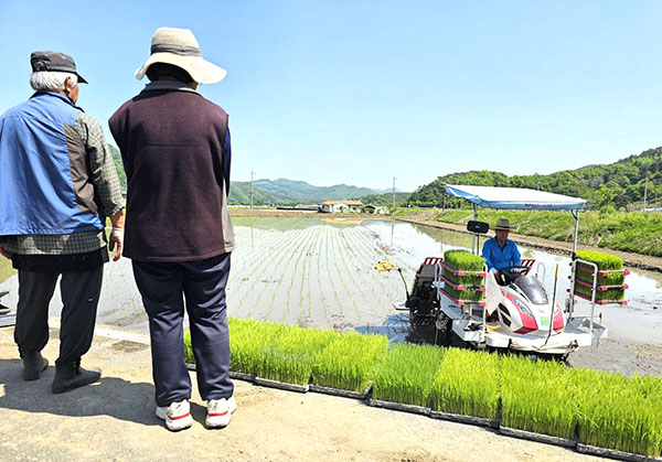 농업기술센터가 운영하는 농작업 대행 서비스가 일손이 부족한 농가의 영농 부담을 크게 덜어주고 있다. 사진은 내북면으로 귀촌한 부부의 논에서 농작업 대행 서비스를 이용해 모내기를 하는 모습. /제공 보은군