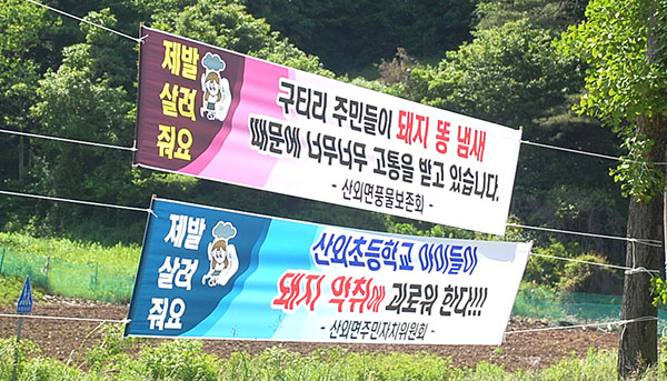 산외면 곳곳에 양돈장 폐업을 요구하는 현수막이 걸려있다.
