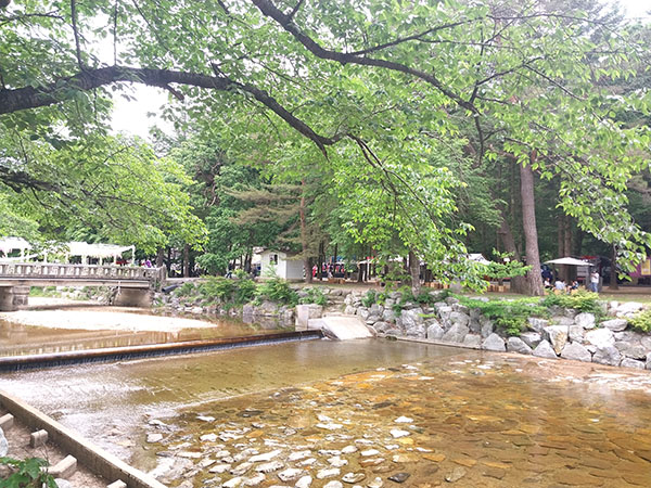 ‘속리산에서 쉼’자연을 보며 걷는 것, 쉬는 것 자체만으로도 힐링이 된다. 국가 숲길로 지정된 속리산 숲길, 훼손되지 않은 천연림, 계곡 맑은 물소리, 고스넉한 산사, 수려한 풍광을 감상하며 산책을 즐길 수 있는 곳 속리산. 어쩌면 이런 곳에서의 축제는 축복의 덤이 아닐까. 올해부터 축제 명칭이 변경됐다. 속리산 신화여행축제에서 속리산축제로 간결해졌다. 속리산에서 쉼이란 주제의 속리산축제가 쭉 이어져 명품 축제로 자리하길…