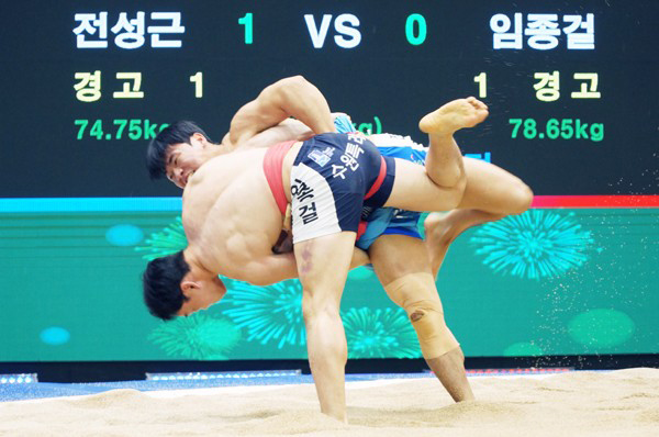 '2024 민속씨름 보은장사씨름대회'에서 소백장사에 등극한 수원특례시청 임종걸 선수가 영월군청 전성근 선수와 경기를 펼치고 있다.