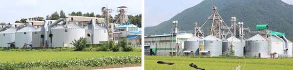 남보은농협과 보은농협이 공동으로 설립한 보은군 농협쌀조합공동사업법인이 도정시설의 현대화를 위해 추진하는 통합 미곡종합처리장 건립 사업. 하지만 이 사업이 부지 문제로 표류하고 있다. 공동사업법인이 신축이전을 목적으로 사들인 월송리 부지는 이 마을 주민의 반발로 사업 승인권을 가진 농림부가 민원 해결 또는 새 부지 물색을 요구함에 따라 사업법인이 대안을 마련에 골몰 중인 것으로 전해졌다. 사진은 보은농협과 남보은농협 미곡종합처리장.