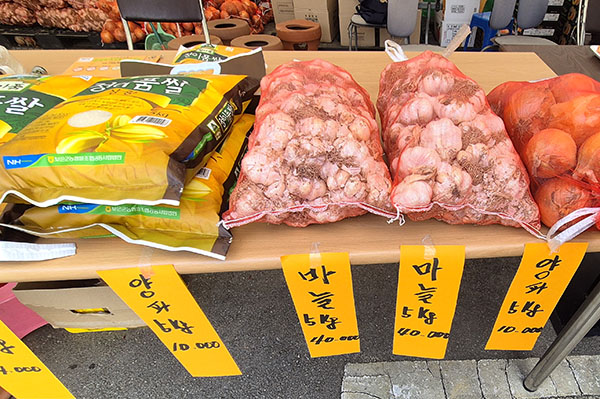 정이품송관광 주말장터에서 판매되ㅐ고 있는 보은에서 생산된 농산물.