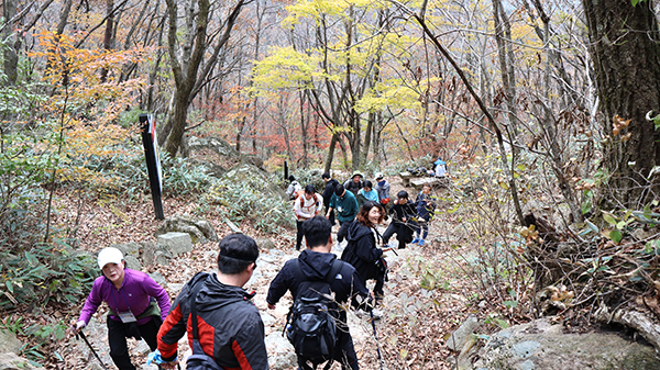 속리산관광협의회가 주관한 등반대회가 27일 일요일 열려 수많은 관광객들이 속리산의 아름다운 자연과 산소를 한껏 즐겼다. 여기에 공연과 경품이 더해져 관광객들이 일석삼조의 추억을 누렸다.