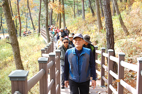 제6회 속리산둘레길 걷기 축제에 참여한 이들의 행렬이 이어지고 있다.
