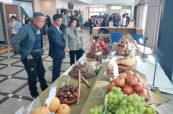 지난 11월 11일 문화예술회관에서 열린 제30회 보은군농업인대회에서 김은희 보은농업기술센터장 등 참석자들이 전시된 보은 대표 농산물들을 살펴보고 있다. 이날 고추(내북), 마늘(삼승), 고구마(탄부), 사과(삼승), 대추.천마.호두.샤인머스켓(보은읍), 인삼(삼승), 밤(산외), 배(장안) 등이 전시돼 시선을 끌었다.)
