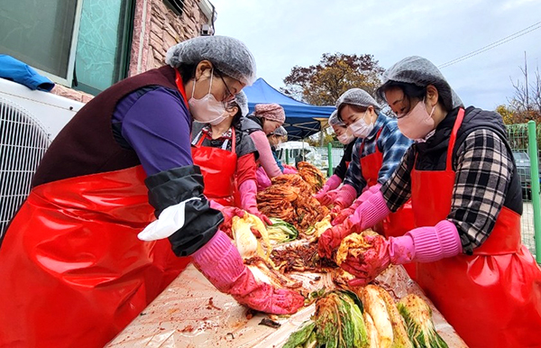 곰두리봉사회 회원들이 절인 맛갈스런 양념을 발라 김장 김치를 담고 있다.