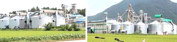 보은군 농협쌀조합공동사업법인이 도정시설의 현대화를 위해 추진하는 통합 미곡종합처리장 건립 사업. 하지만 이 사업이 부지 문제로 난항을 겪고 있다. 공동사업법인이 신축이전을 목적으로 사들인 월송리 부지는 이 마을 주민의 반발로 사업 승인권을 가진 농림부가 민원에 따른 새 부지 물색을 요구함에 따라 백지화됐다. 이에 따라 사업법인은 새 부지 물색에 골몰 중이다.