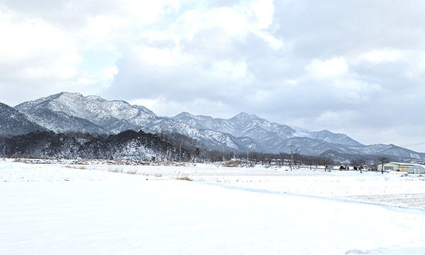 탄부면 상장리앞에서 바라본 구병산 설경.