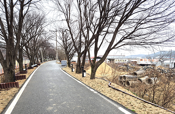 벚꽃축제를 앞둔 보청천 벚꽃길 주변에 폐콘크리트 및 콘크리트 흄관이 방치되어 있다.
