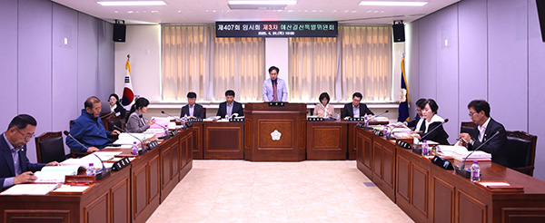 보은군의회 이경노 예산결산특위위원장이 보은군이 제출한 1차 추경예산안에 대해 가결을 선언하고 있다. /제공 보은군의회
