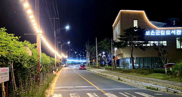 보은군이 보청천변에 설치한 경관조명. /제공 보은군