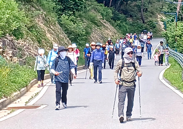 지역민과 함께하는 속리산둘레길 숲속장터에 참여한 군민들이 속리산둘레길을 걷고 있다.