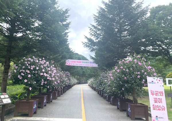 미동산수목원에서 펼쳐지는 무궁화 분화 전시회 