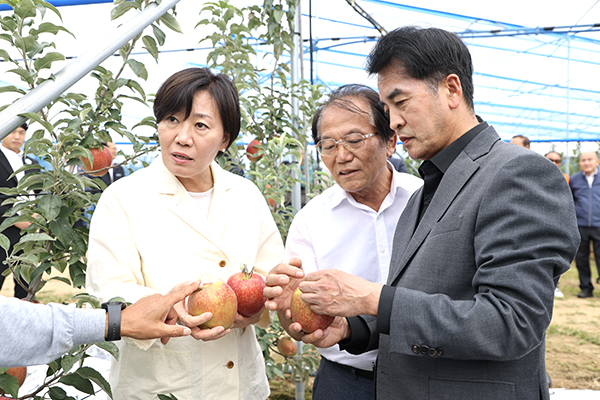 송미령 장관, 박순태 남보은농협 조합장, 최재형 군수(좌측부터)가 삼승면 우진리 소재 사과 농장을 찾아 사과 생육과 수확 현장을 살펴보고 있다. /사진 보은군 제공