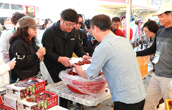 보은대추축제장을 찾은 방문객들이 대추를 사기 위해 줄을 서 있다.