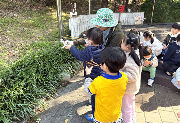 충북도가 시범 운영하고 있는 유아 숲 체험 활동. /제공 충북도