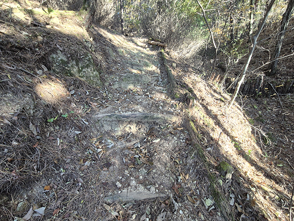 용천산 등산로의 나무계단이 썩어 손실되어 있다.