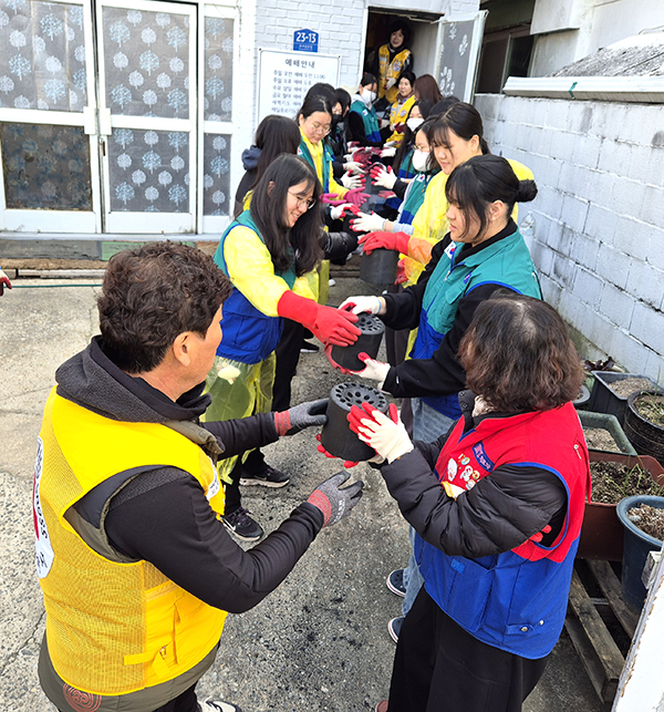 보은여고RCY단원 및 적십자봉사원들이 독거노인 가정에 연탄을 들어 넣고 있다.