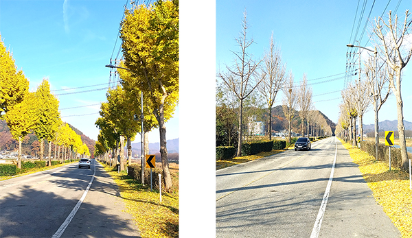 짧은 가을 겨울 시작