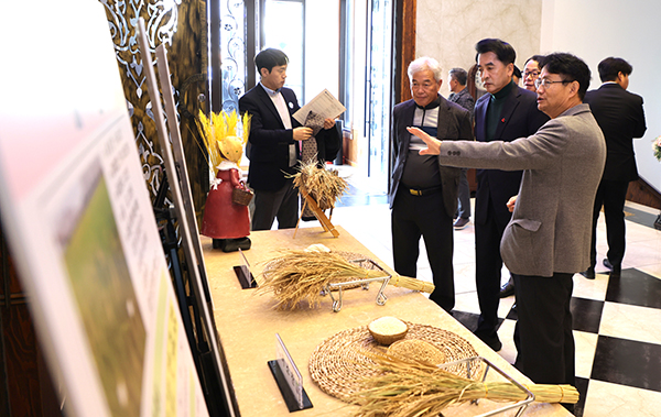 최재형 군수와 이재익 보은군쌀전업농회장 등 관계자들이 벼 신품종 경쟁력 현황을 살펴보고 있다.