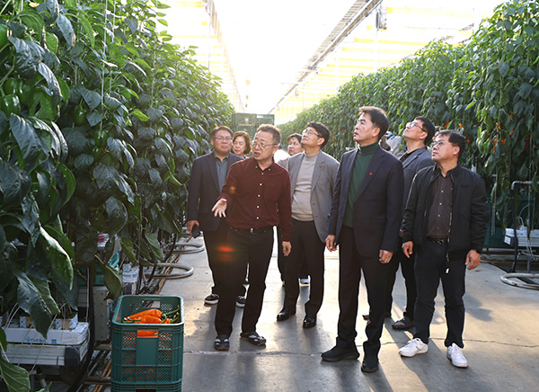 최재형 군수와 일행이 썬메이트를 견학하고 있다. /제공 보은군