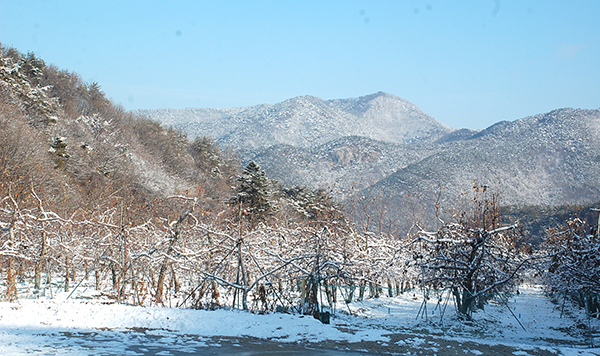 보은에 내린 눈, 아름다워