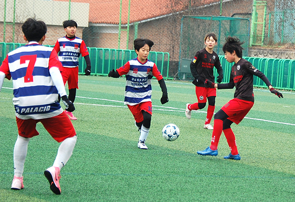 전국 곳곳에서 보은을 찾은 초등학교 학생들이 2025 KYFF 한일유소년축구 교류전을 펼치고 있다.