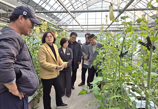 조은희 충북도농업기술원장보은군 농업 현장 찾아 소통