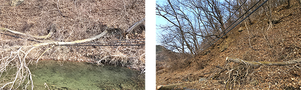 복구 전(좌) 후(우)의 통신선 모습.