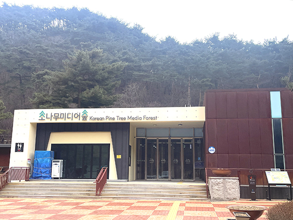 몰입형 미디어아트 공간으로 새롭게 단장한 ‘소나무 미디어 숲’.